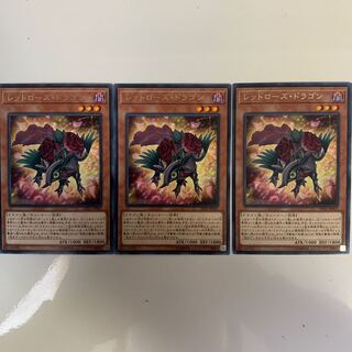 レッドローズ・ドラゴン レア