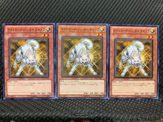 Popotan] Yu-Gi-Oh! 6920 Light Road Hunter Raikou - Normal - 3