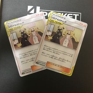 シロナ＆カトレア2枚