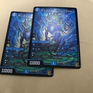 マニフェスト ＜リーフ.Star＞