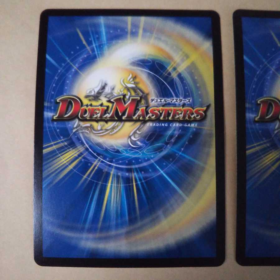 本日限定！ 天ニ煌メク龍終ノ裁キ   ２枚セット