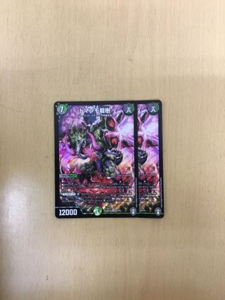 ドマンモ龍樹　2枚