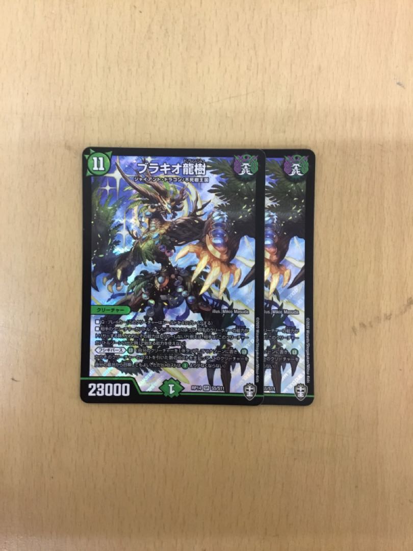 Brachio Ryuki: 2 pieces