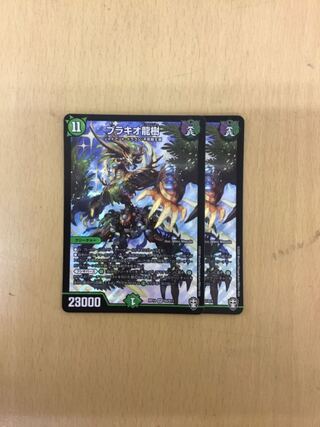 Brachio Ryuki: 2 pieces