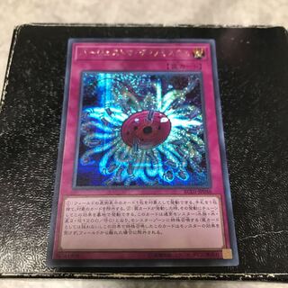 バージェストマ・ディノミスクス シークレットレア