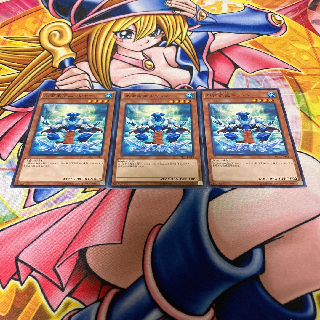 氷帝家臣エッシャー