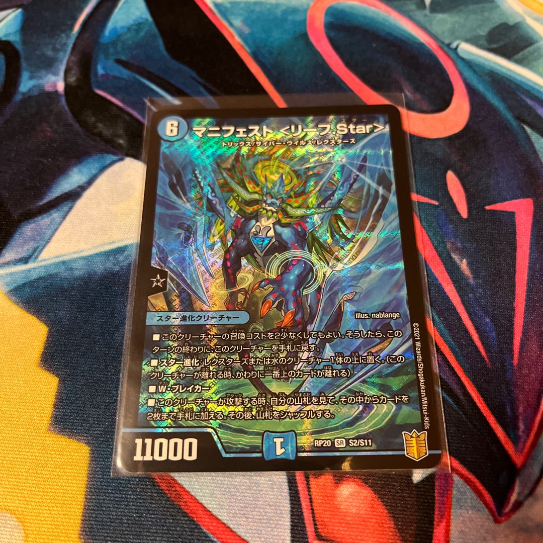 マニフェスト ＜リーフ.Star＞