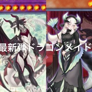 ドラゴンメイドチェイム　ドラゴンメイドシュトラール　６枚セット