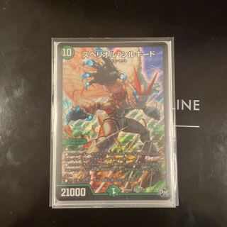 Spe Riolu, Silk Road