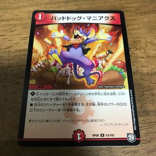 バッドドッグ・マニアクス