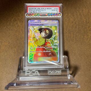 PSA10 Erika's Hospitality