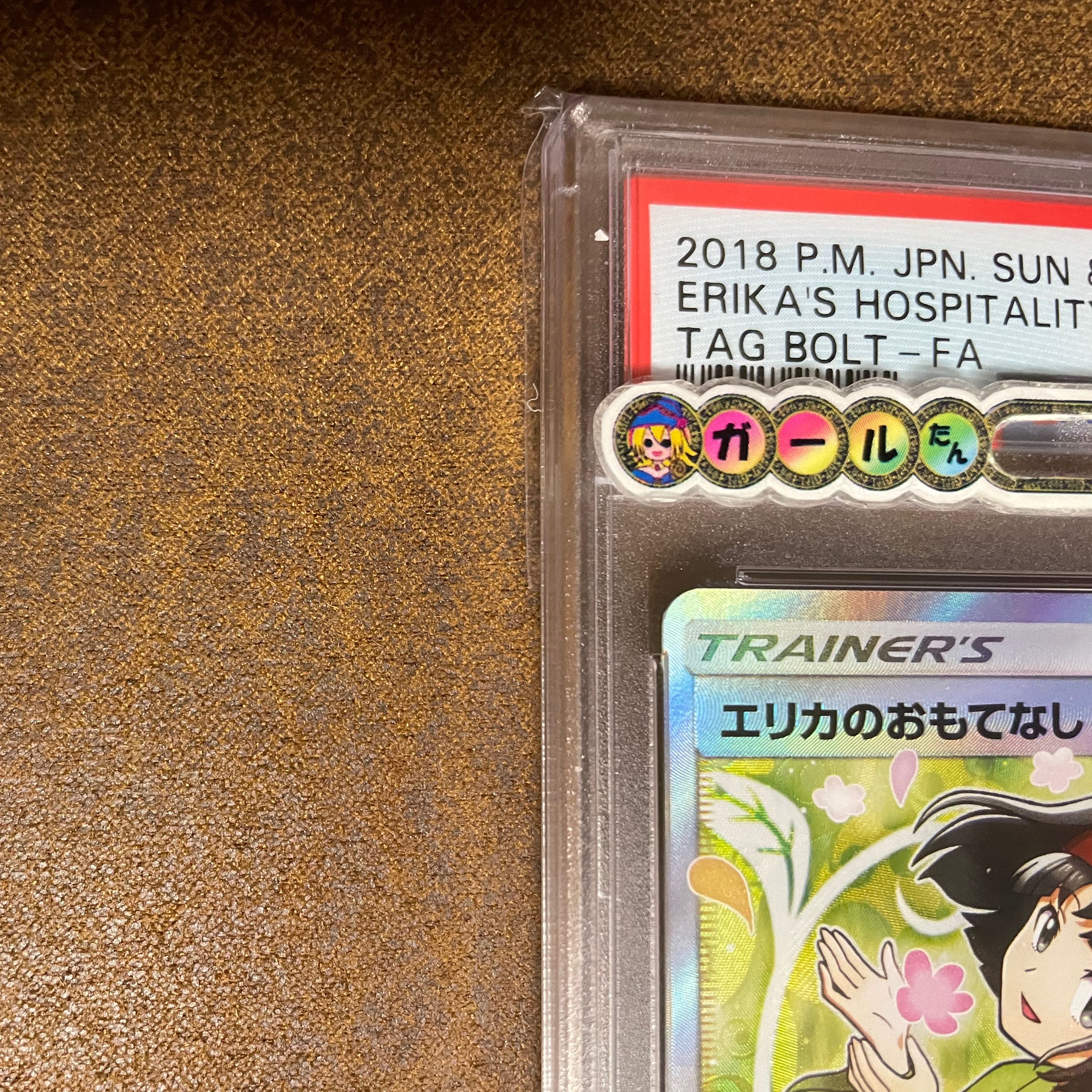 PSA10 Erika's Hospitality