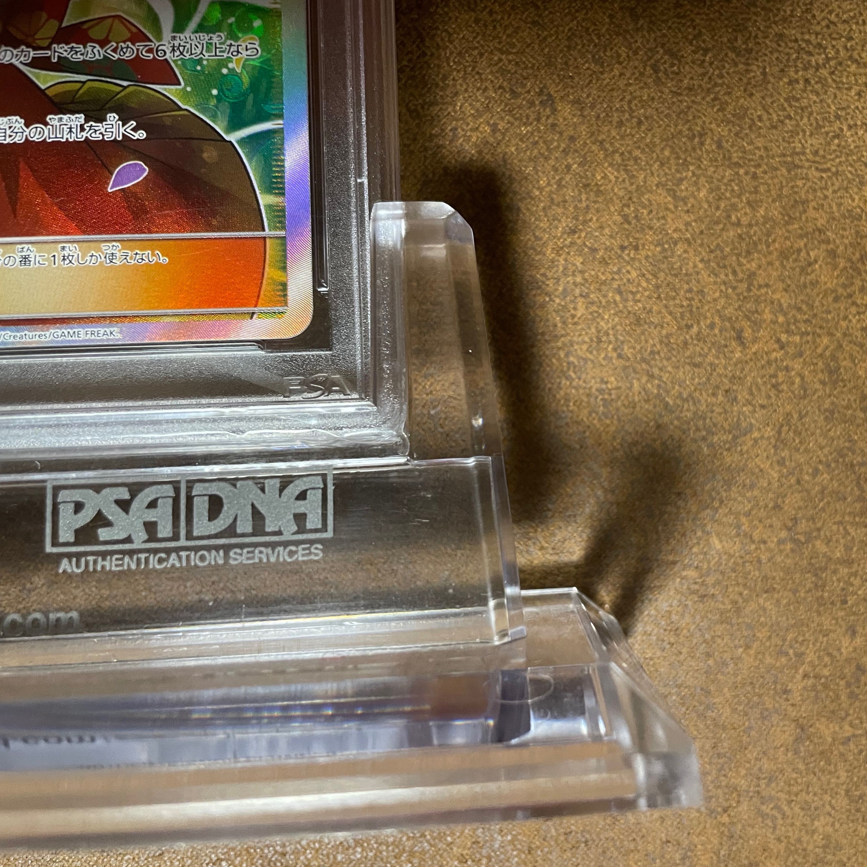 PSA10 Erika's Hospitality