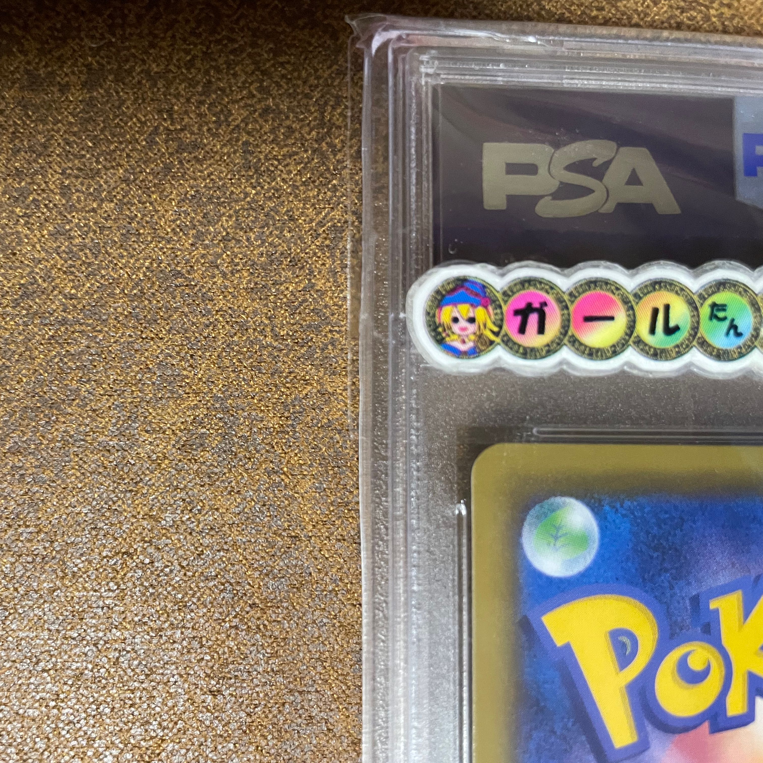 PSA10 Erika's Hospitality