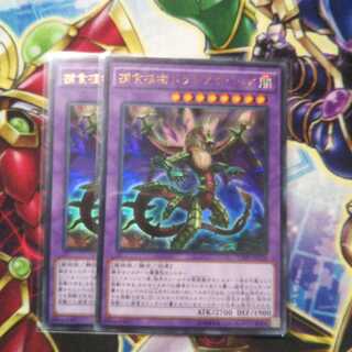 捕食植物ドラゴスタペリア ウルトラレア 2枚