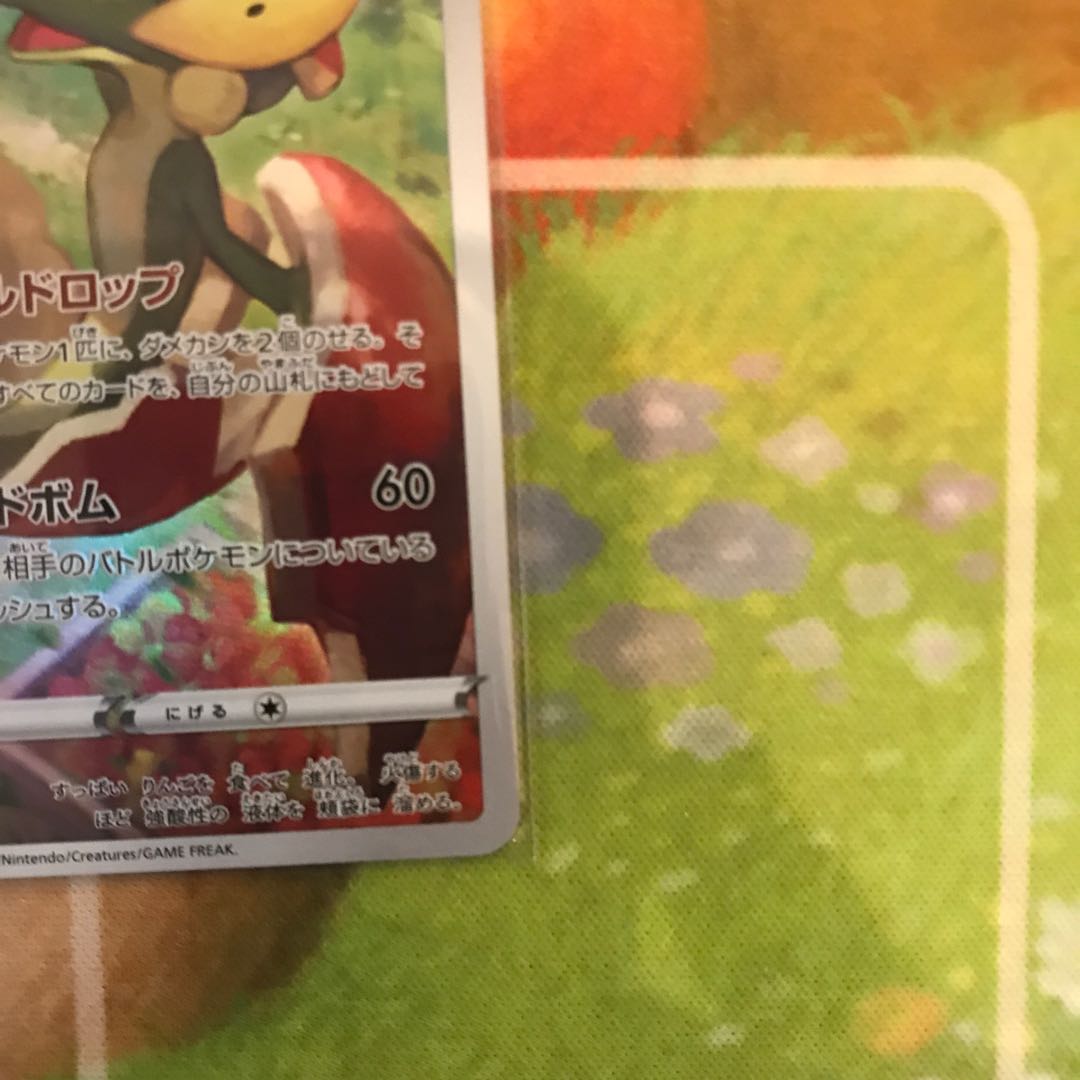 ぱかす様専用 アップリュー CHR ゼクロム CHR