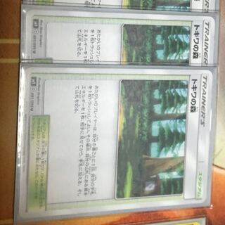 トキワの森二枚