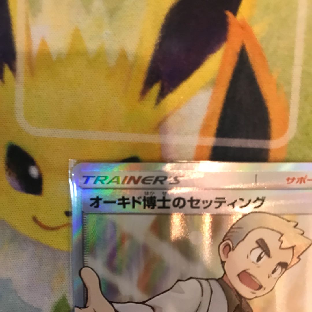 Professor Oak's Setup SR