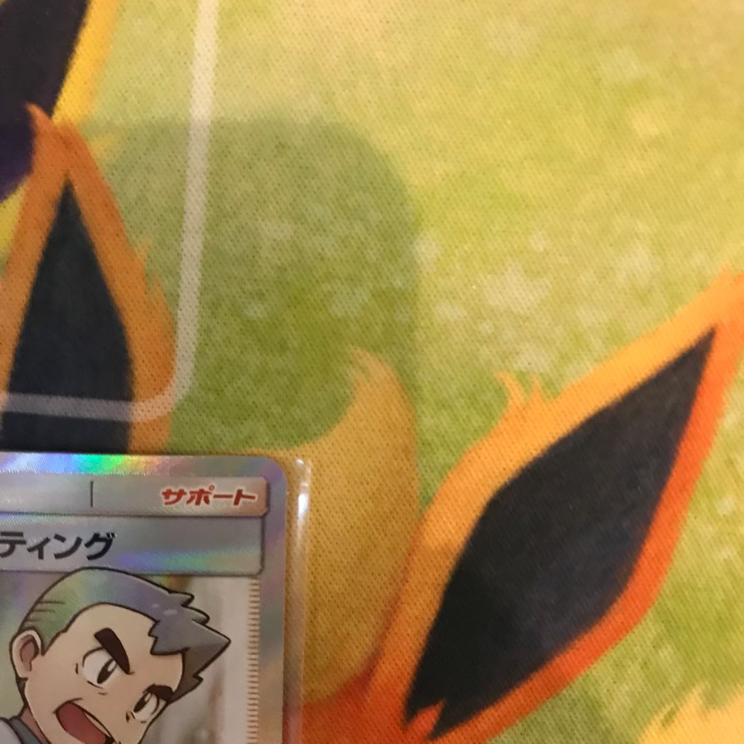 Professor Oak's Setup SR