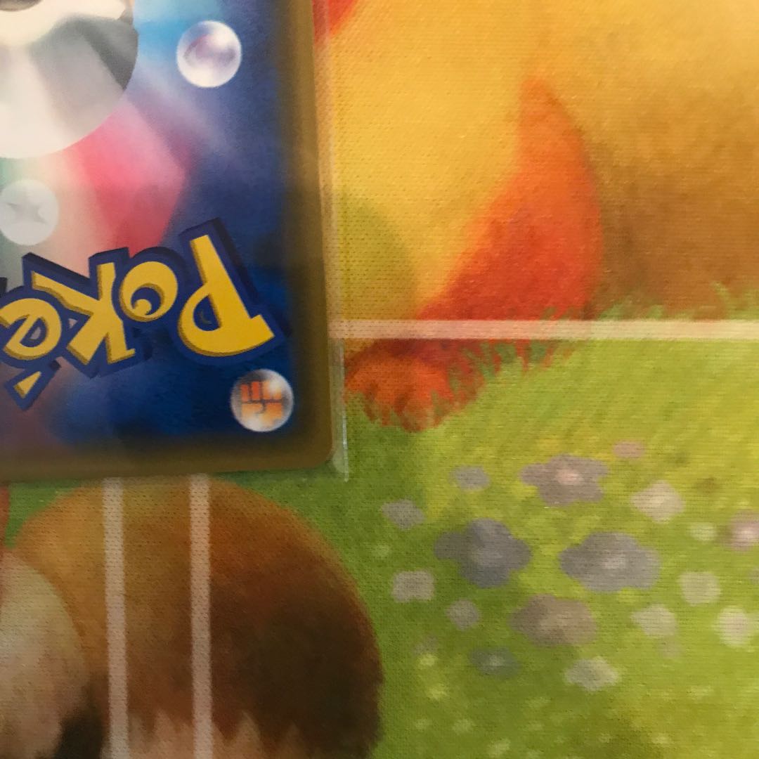 Professor Oak's Setup SR