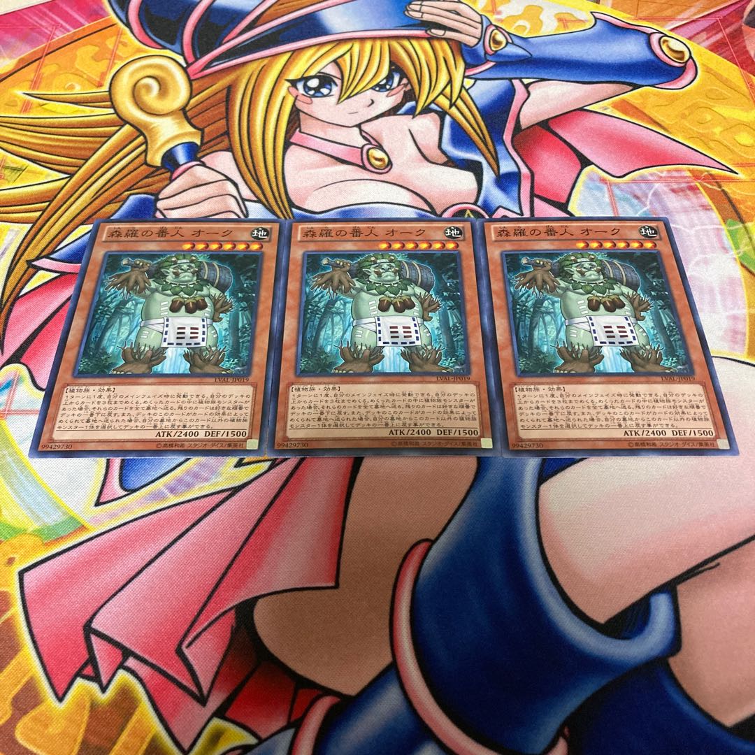 森羅の番人 オーク