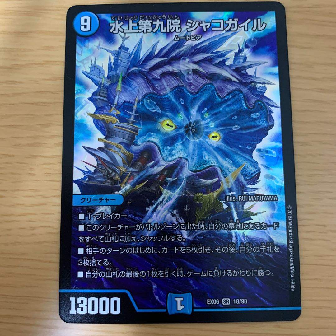 シャコガイル　美品