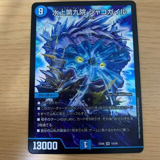 シャコガイル　美品