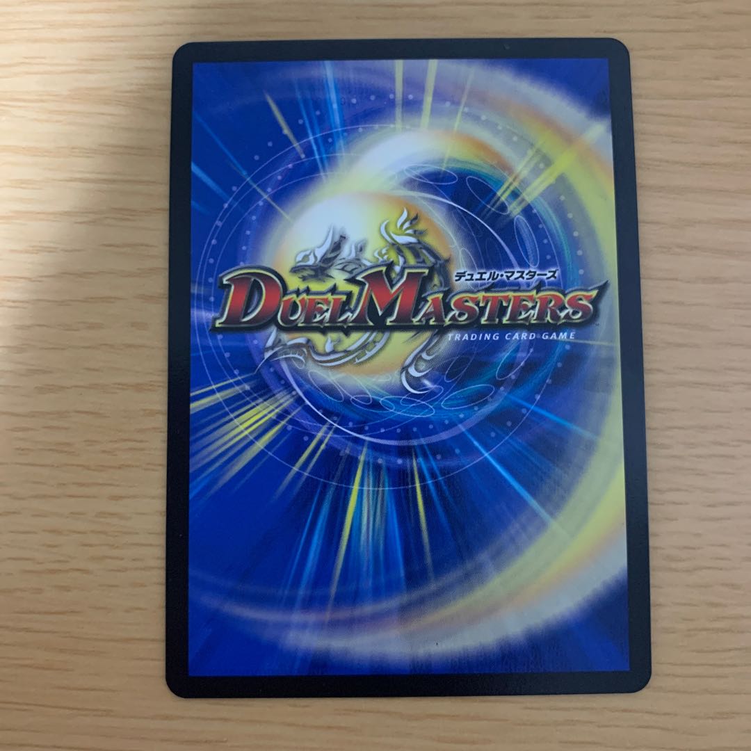 シャコガイル　美品