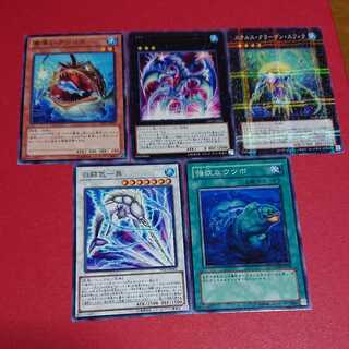 強欲なウツボ 他5枚セット