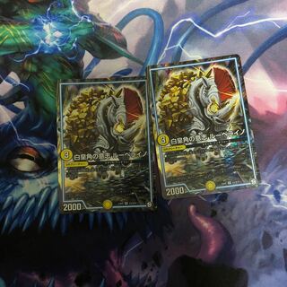 ルーベライノ 2枚 ① 2枚