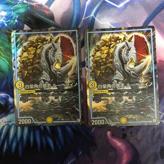 ルーベライノ 2枚 ②