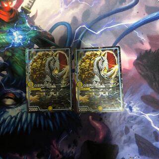 ルーベライノ 2枚 ③