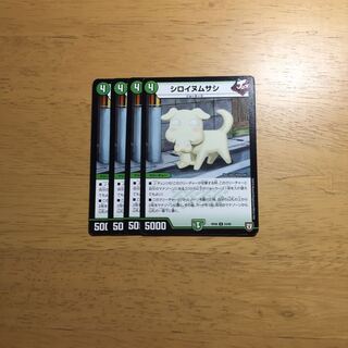 シロイヌムサシ