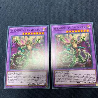 捕食植物ドラゴスタペリア ノーマル2枚