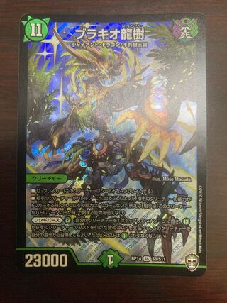 ブラキオ龍樹 SR