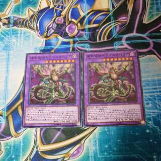 捕食植物ドラゴスタペリア ノーマル