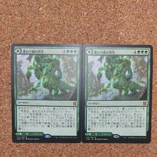 MTG 変わり樹の共生 拡張foil 06011126_6296ce67e5dfd.jpg