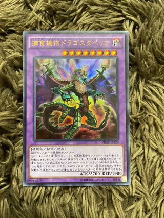 Predaplant Dragostapelia Ultra Rare