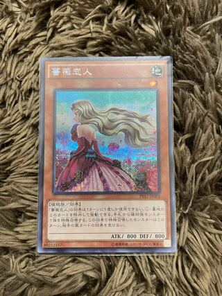 薔薇恋人 クレセントドラゴン　2枚