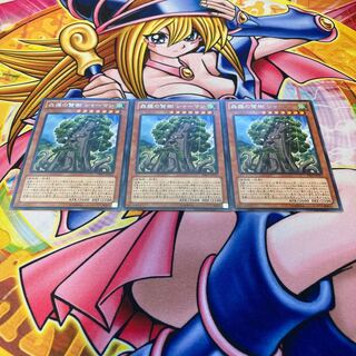 森羅の賢樹 シャーマン