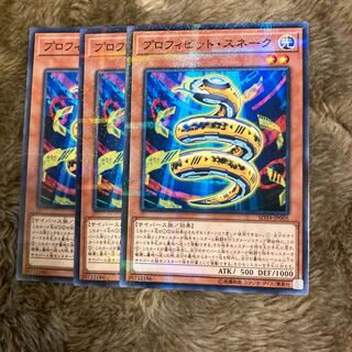 Madrace 1707Prohibit Snake Parallel Normal