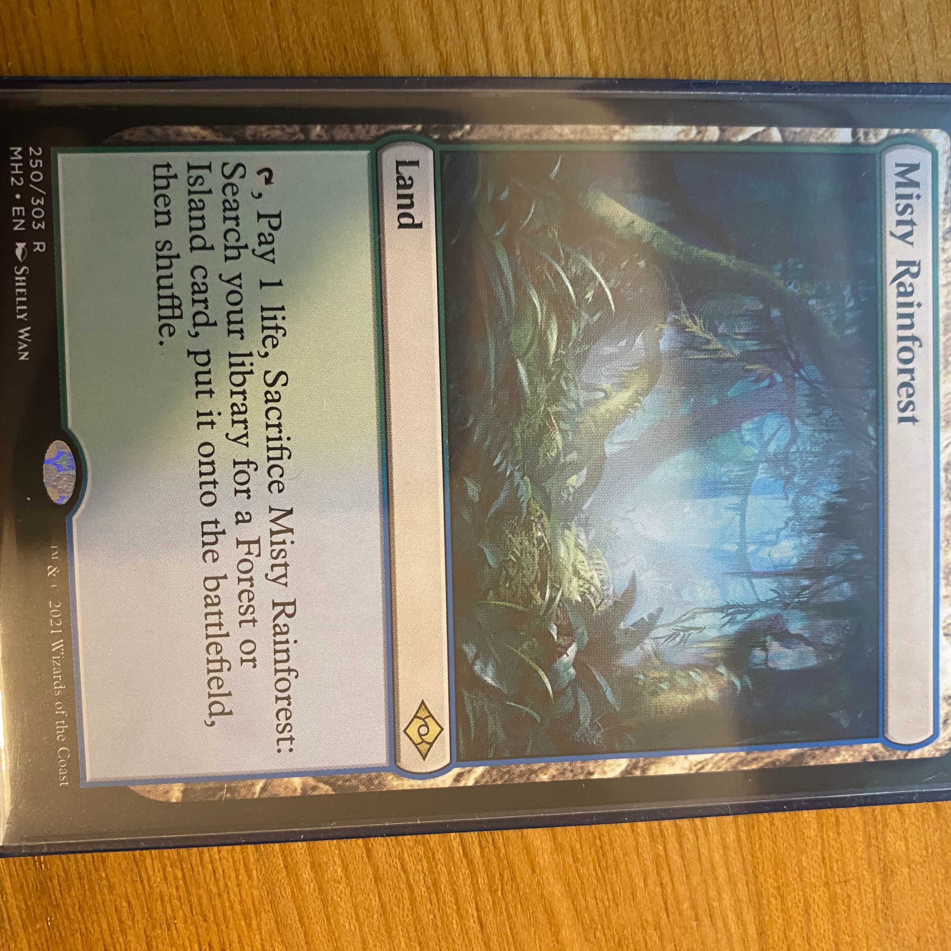 霧深い雨林 MH2 英語