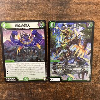 Ryuki Brachio, Psychic Man of Tree Eclipse