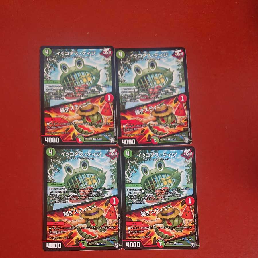 イッコダス・ケイジ|種デスティニー