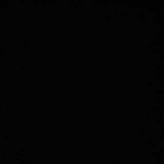 ラボさん専用タラゼドとレダ