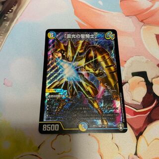 「雷光の聖騎士」