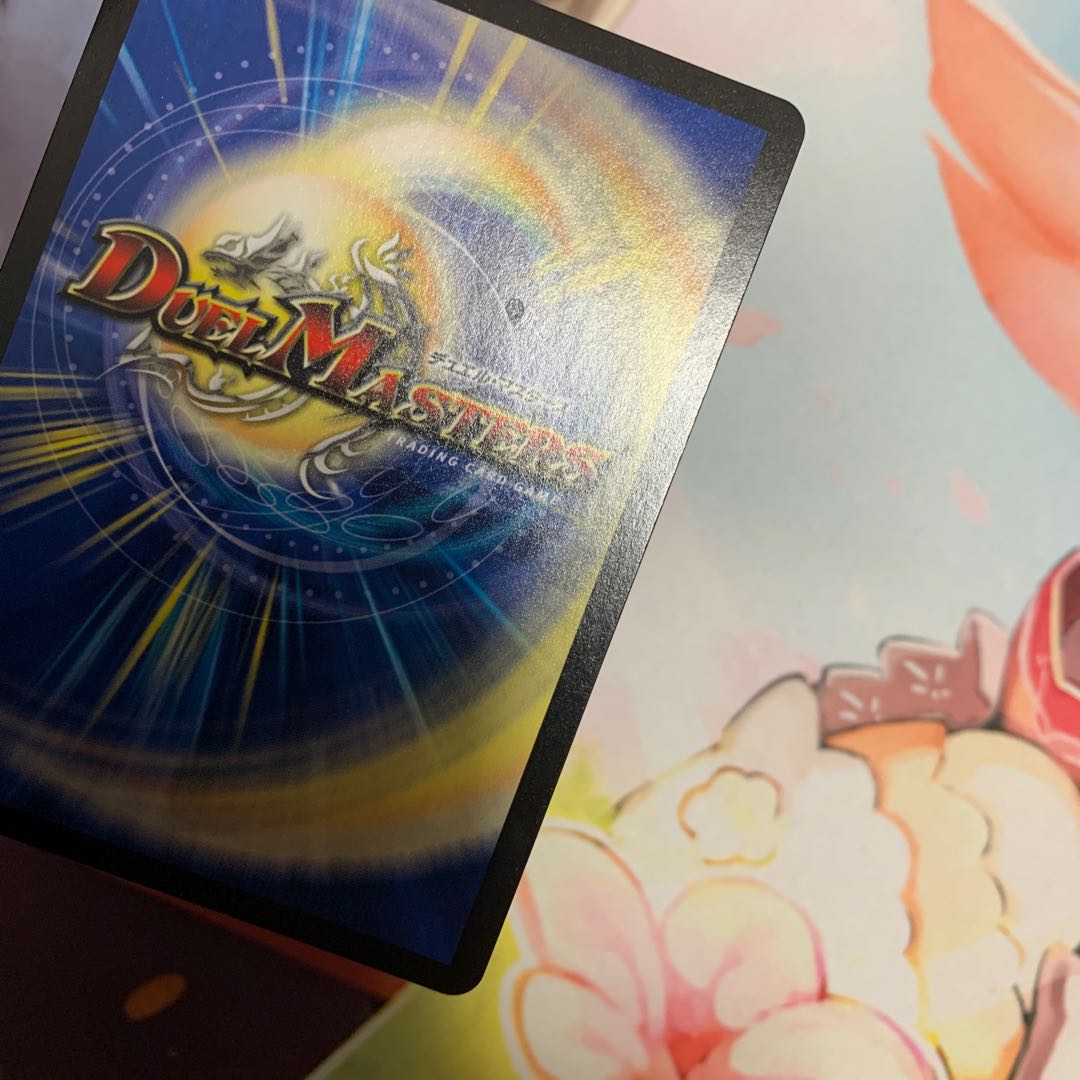 「雷光の聖騎士」