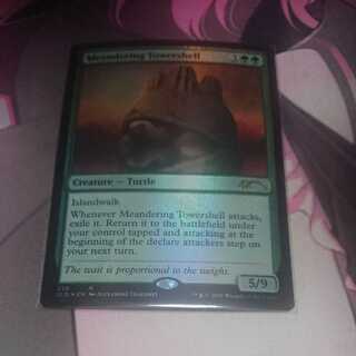 うねる塔甲羅 secret lair Foil