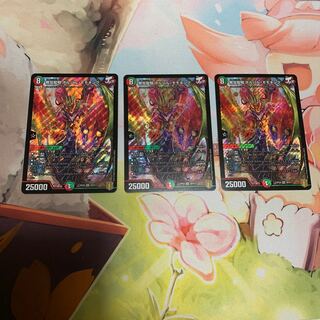 無双龍騎 ボルバル・モモキング　3枚