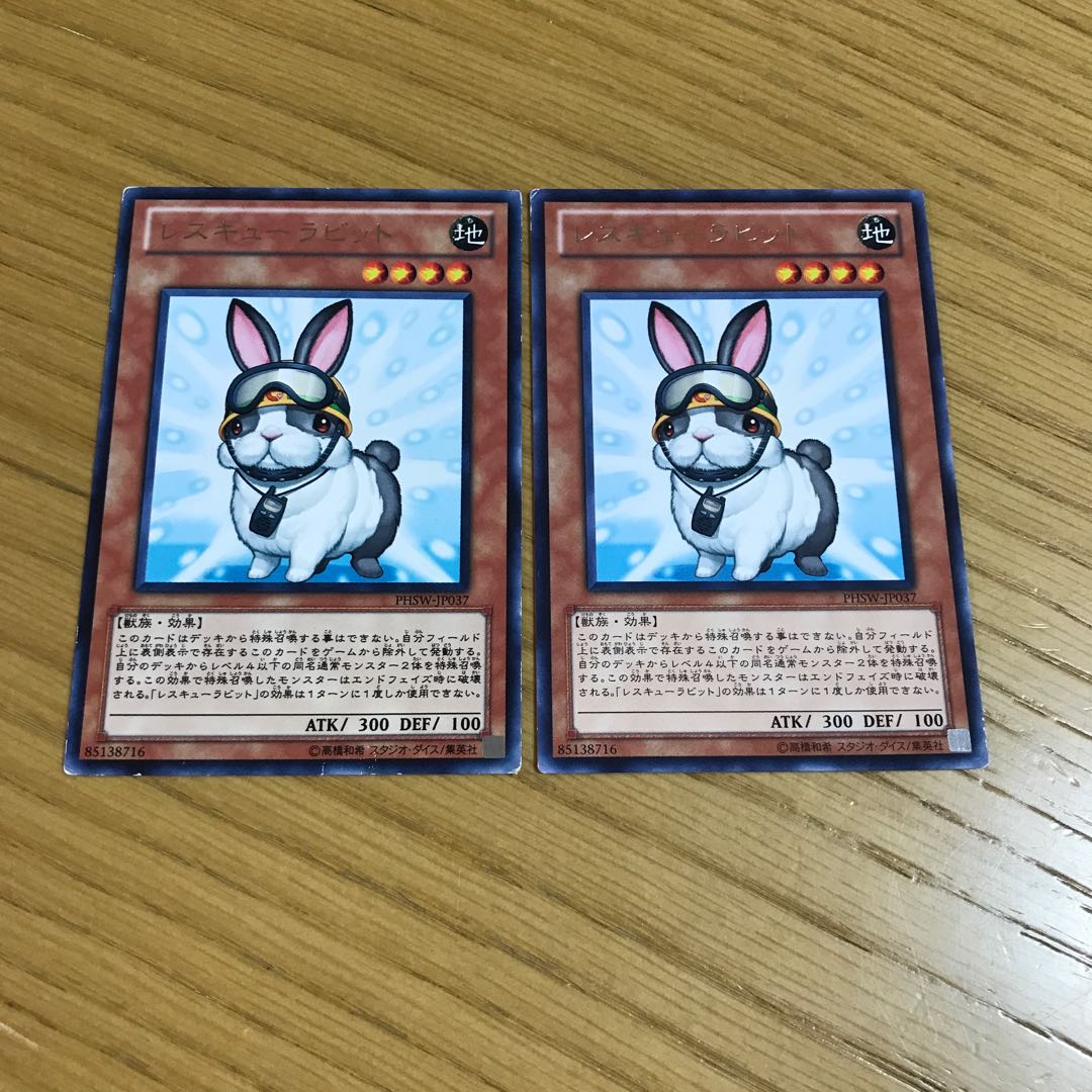 Rescue Rabbit Rare, Set of 2